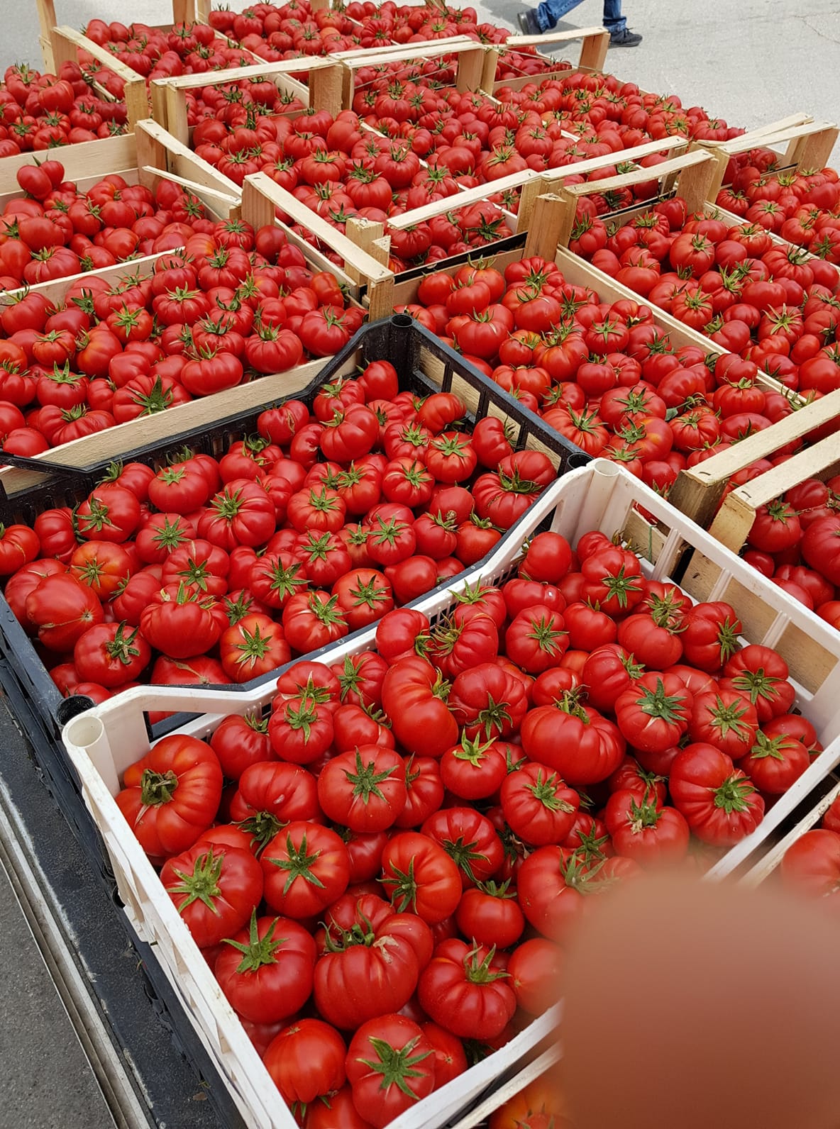 L'angolodellafrutta Gianluca Rizza