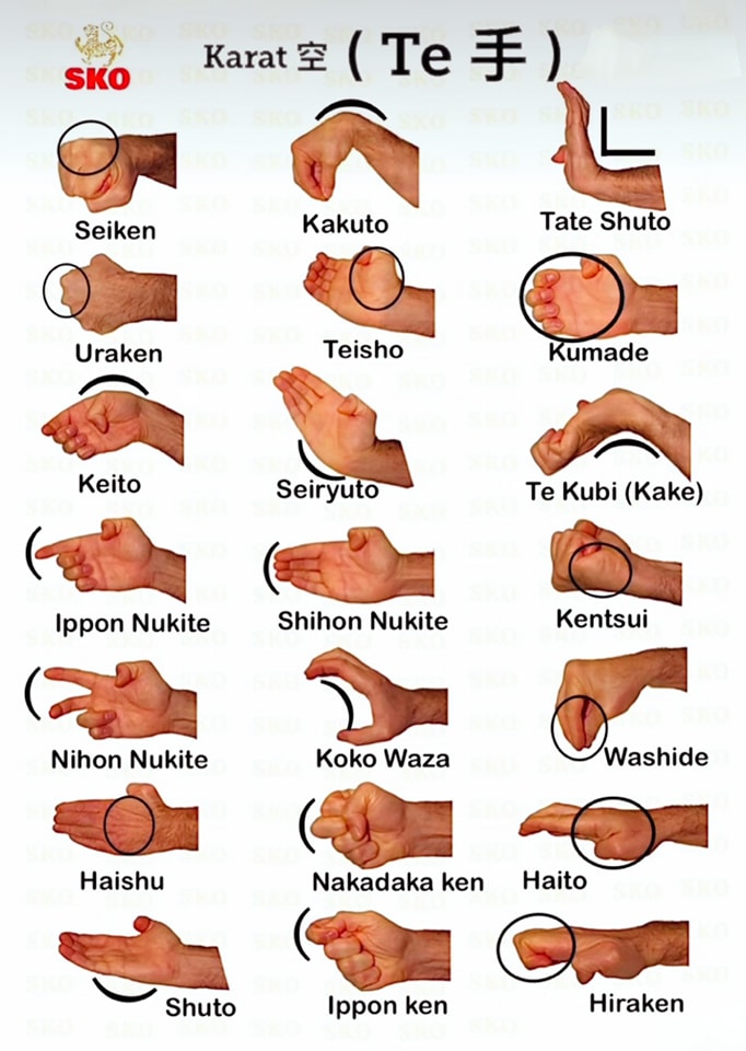 Karaté Ryu Do - Te Waza ( Hand techniques ) Source: Shihan Walid Rashid ...