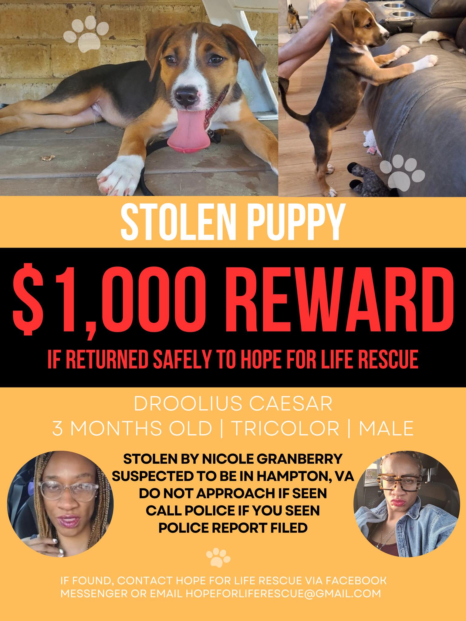Adopt Don
