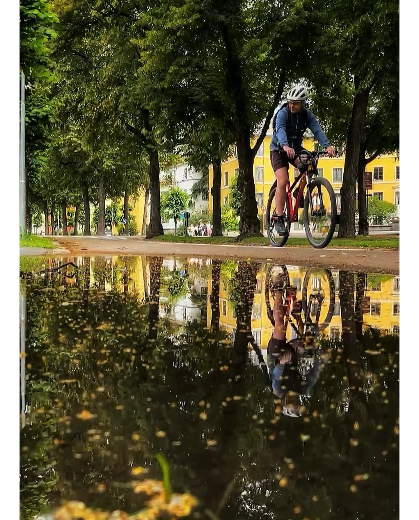 Visit Oslo - Visit Oslo added a new photo.