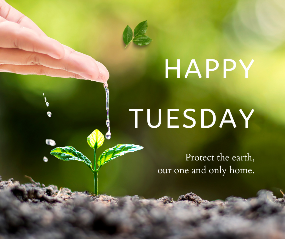 Happy Tuesday! Protect the earth, our... - The Blue Horizons | Facebook