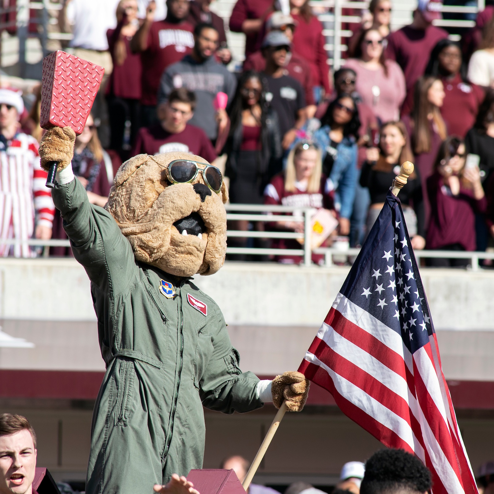 Happy Independence... - Mississippi State Alumni Association | Facebook