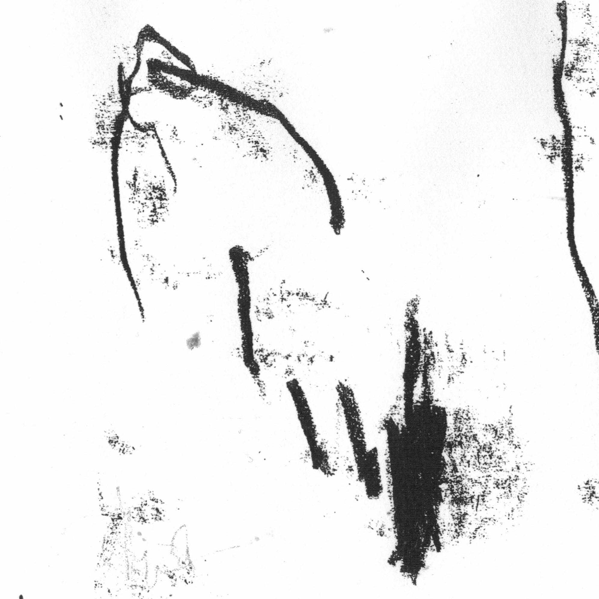 Robert Ridley-Shackleton