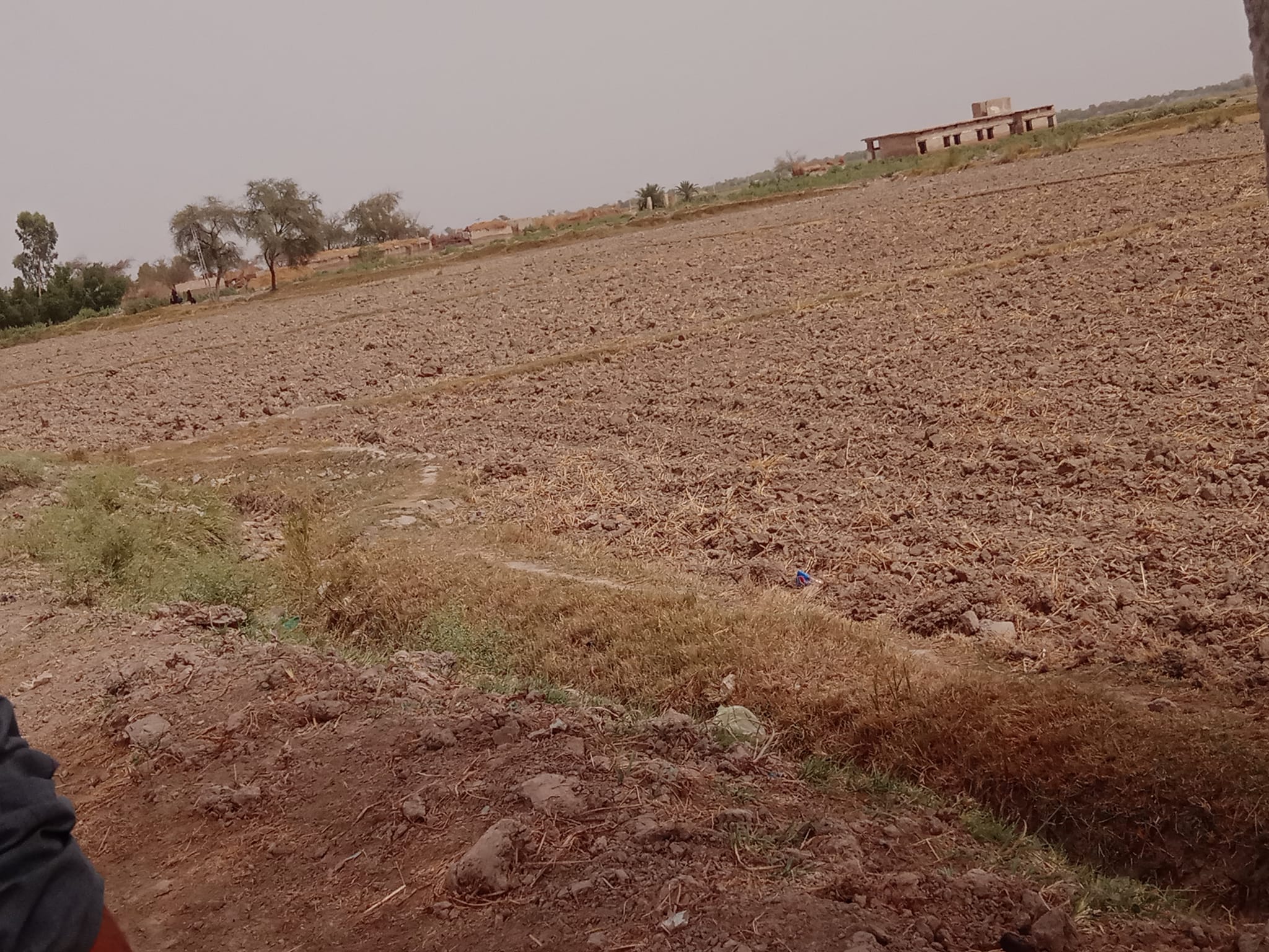 Village Gulab Mari Nakhezi Rind | Jacobabad
