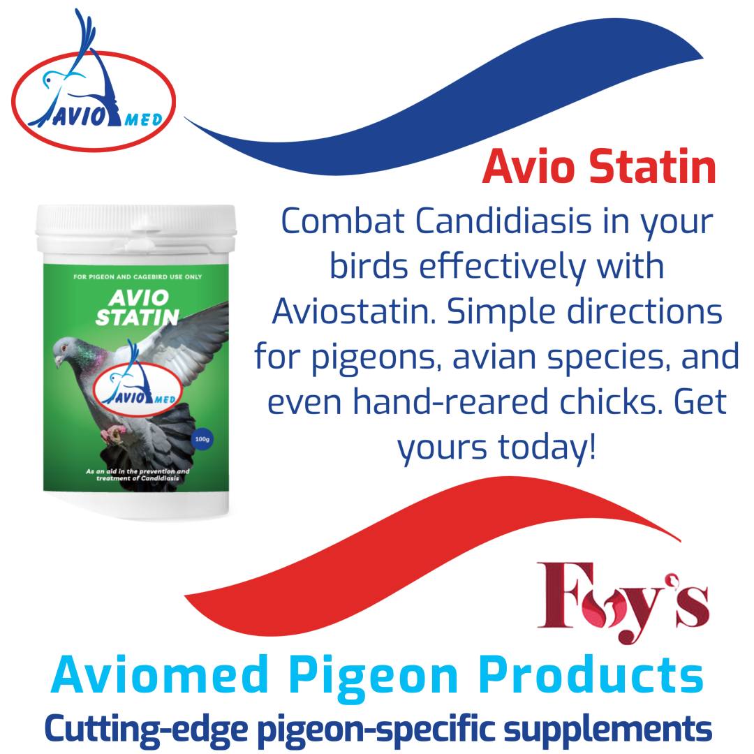 Foy's - Protect your pigeons and birds from Candida with Aviostatin by ...