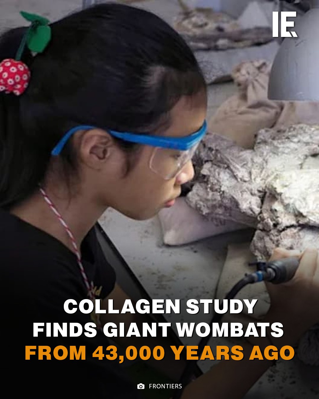 Collagen study reveals... - Interesting Engineering | Facebook