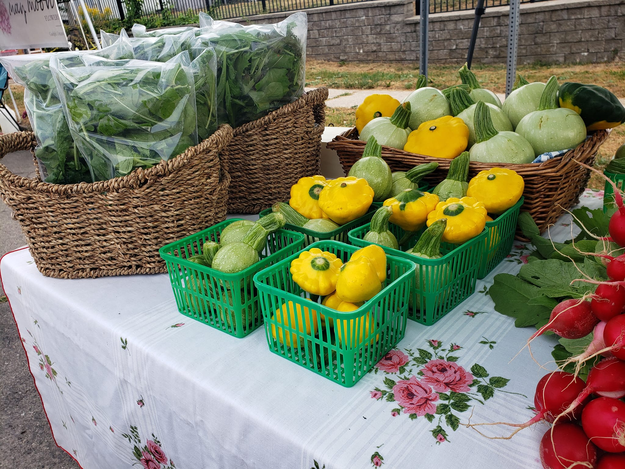 Back Field Farms | Milton ON