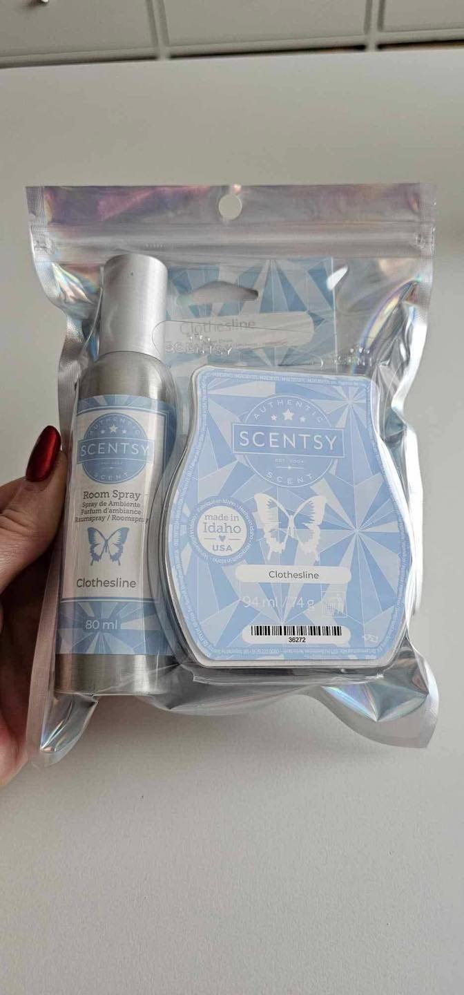 🫧🧼Clean Pouches for a Fresh New Year 🧼🫧 Have your home and Car  