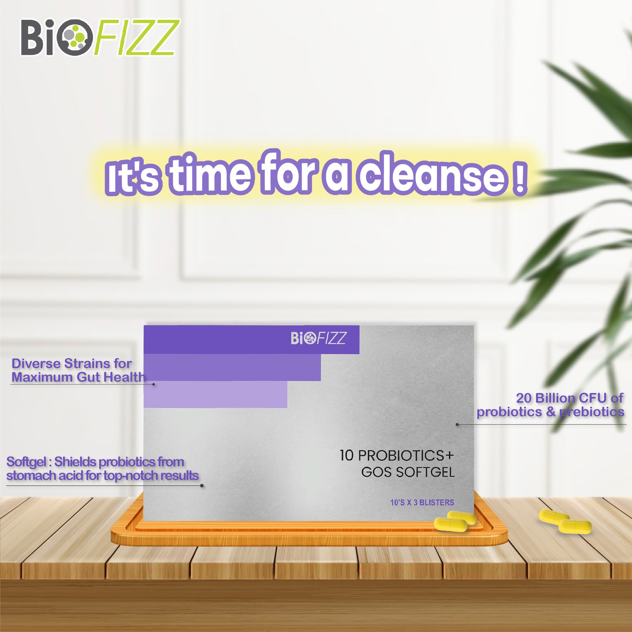 Biofizz