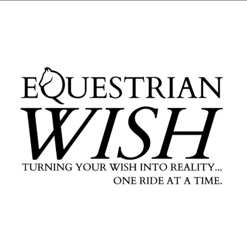 POV bareback trail ride #horses #Chesapeake #equestrian #trail ...