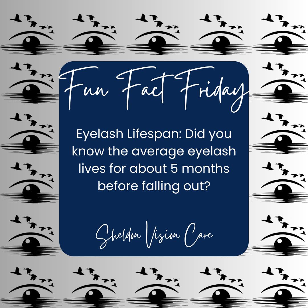 **👀 Fun Fact Friday is here! 🎉**... - Sheldon Vision Care | Facebook
