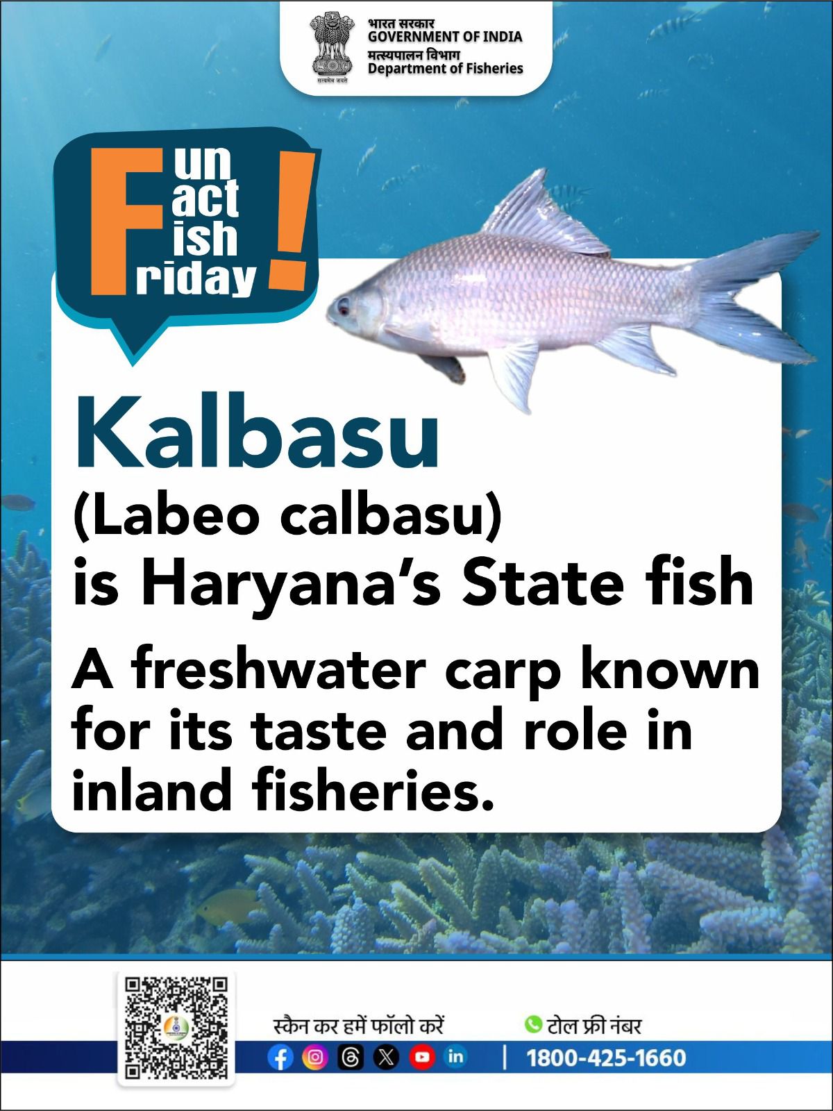 Department - Haryana’s freshwater gem! Kalbasu is a vital part of the ...