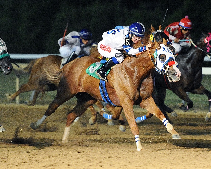 Q-Racing - The Texas Racing Commission (TXRC) approved the... | Facebook
