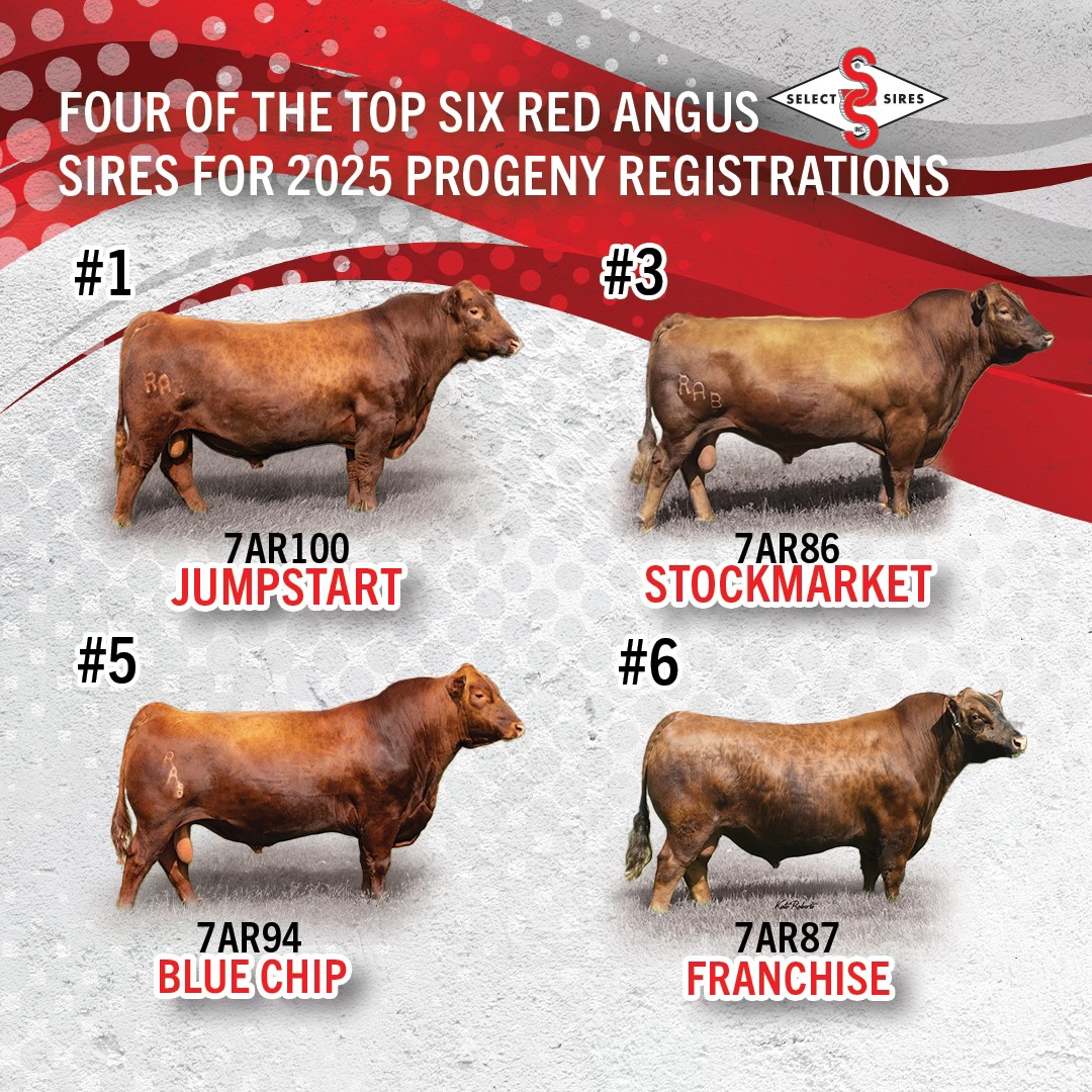 Select Sires Beef added a new photo. - Select Sires Beef