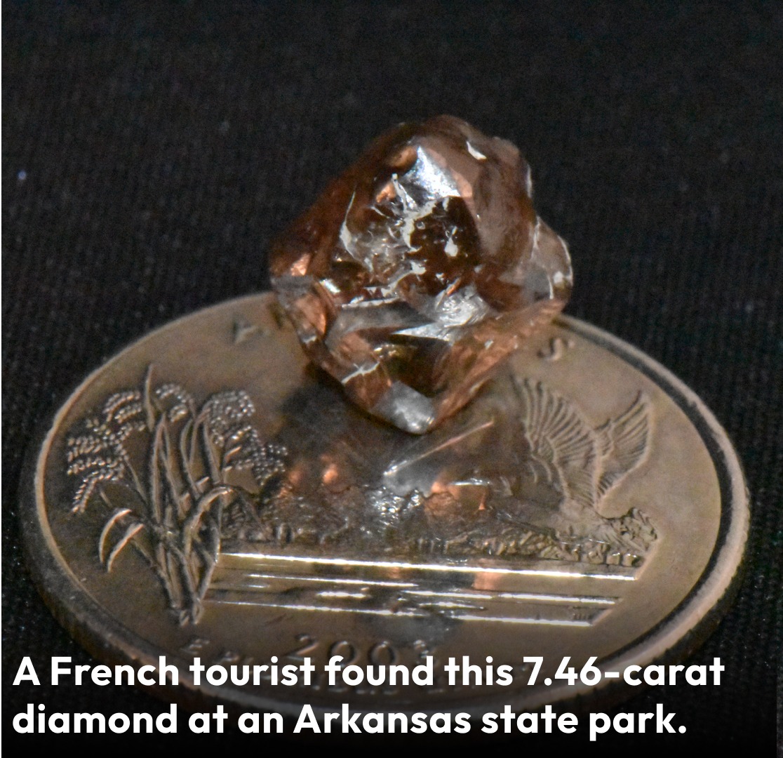 Smithsonian - Julien Navas was visiting from Paris when he heard