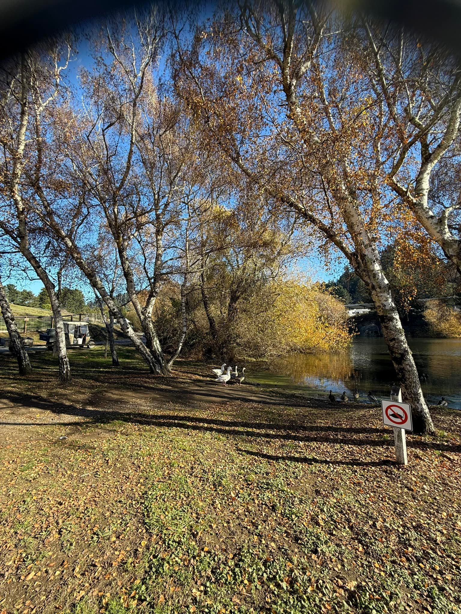 Casini Ranch Family Campground | Duncans Mills CA