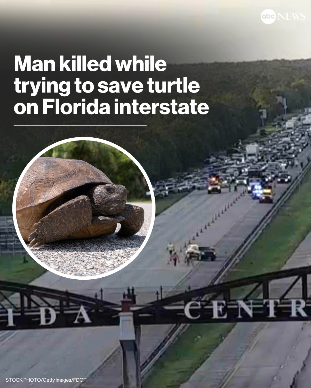 ABC7 - A 77-year-old Vermont man died on I-95 in Florida after being ...