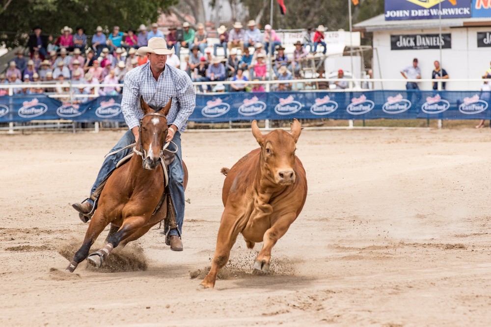 Warwick Australian Championships Rodeo 2019