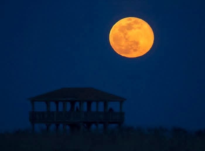 Real - The Harvest Moon of 2025 will occur on Monday, October 6th ...