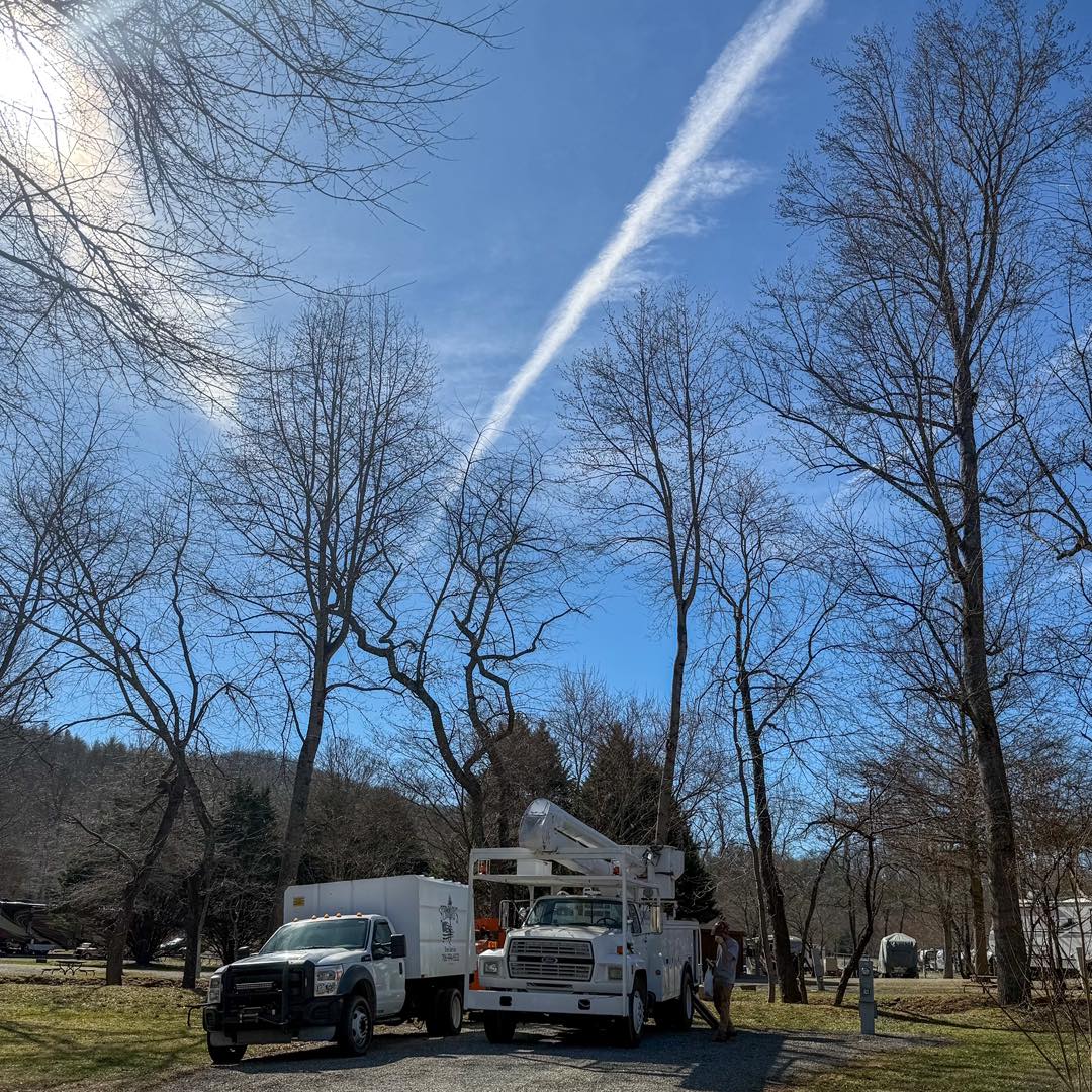 Stroud's Tree Service | Hiawassee GA