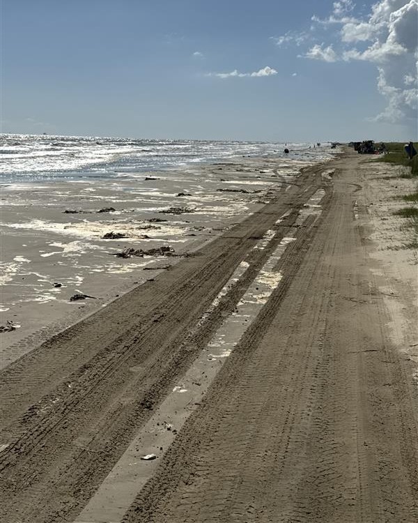 Sea Rim... - Sea Rim State Park - Texas Parks and Wildlife