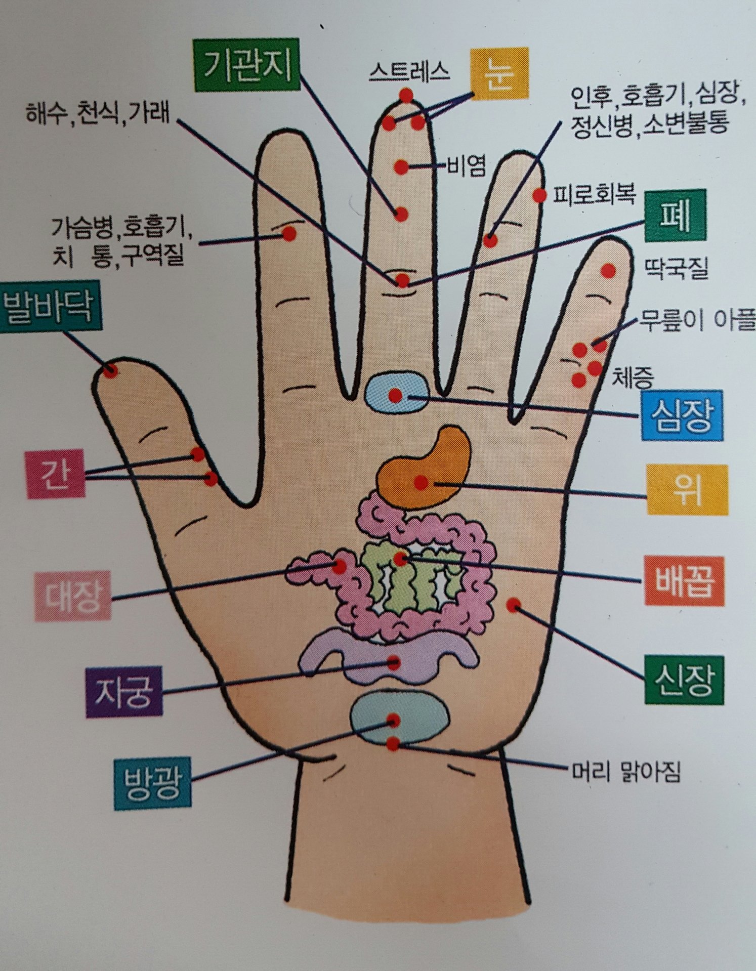금단비가 - 옛날부터 체하면 손바닥중앙을 지긋이 눌러서 지압하는거 같이 손,발 지압은 쉽게 할수있는... | Facebook
