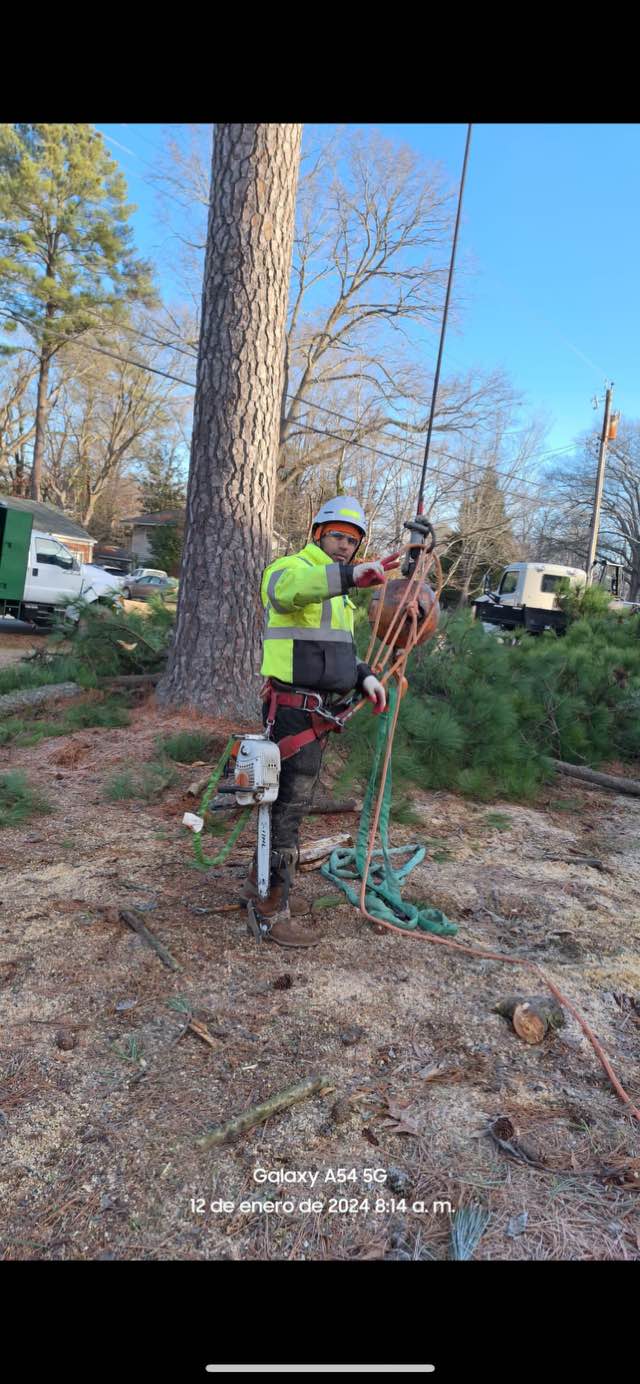 Anthony's Tree Service Inc. | Newport News VA