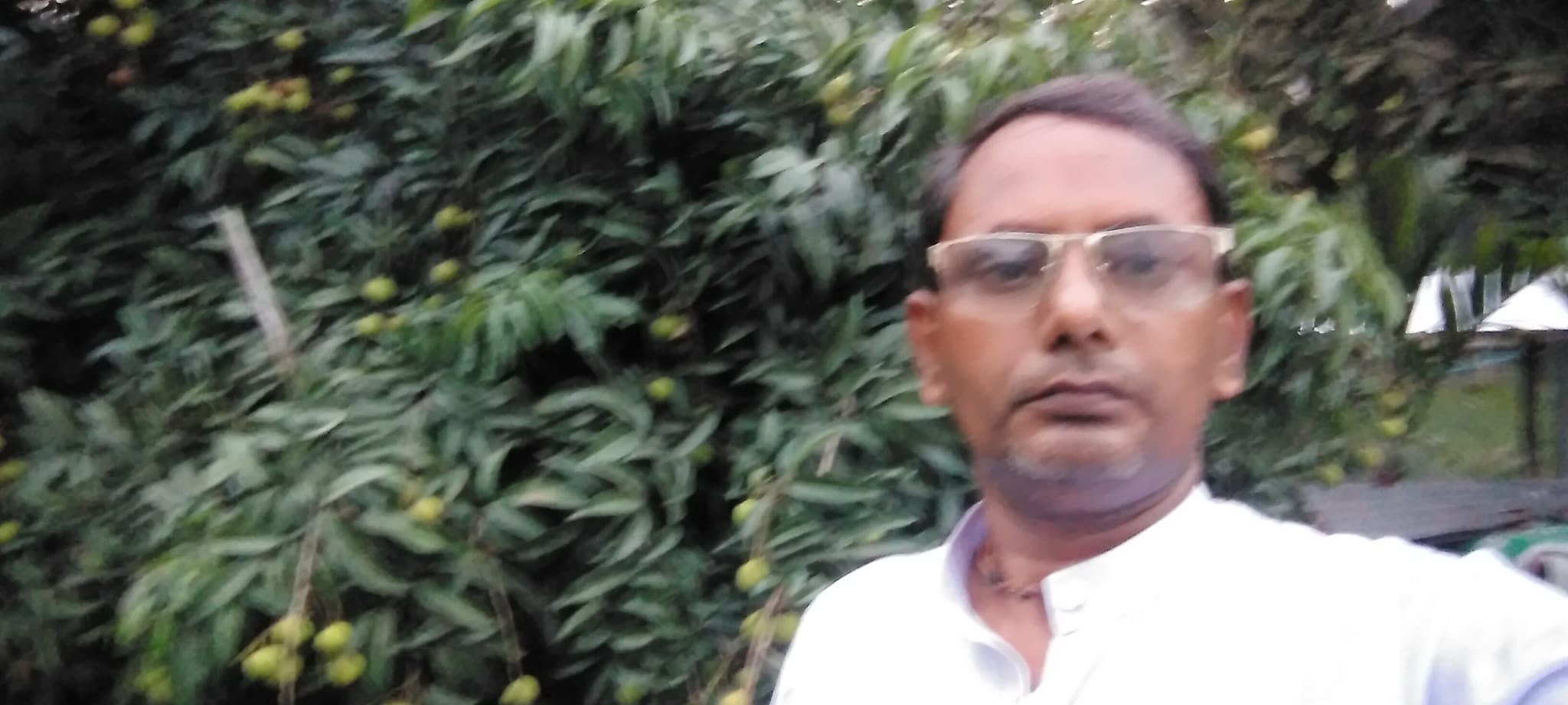 Sree Manik Robi Dass