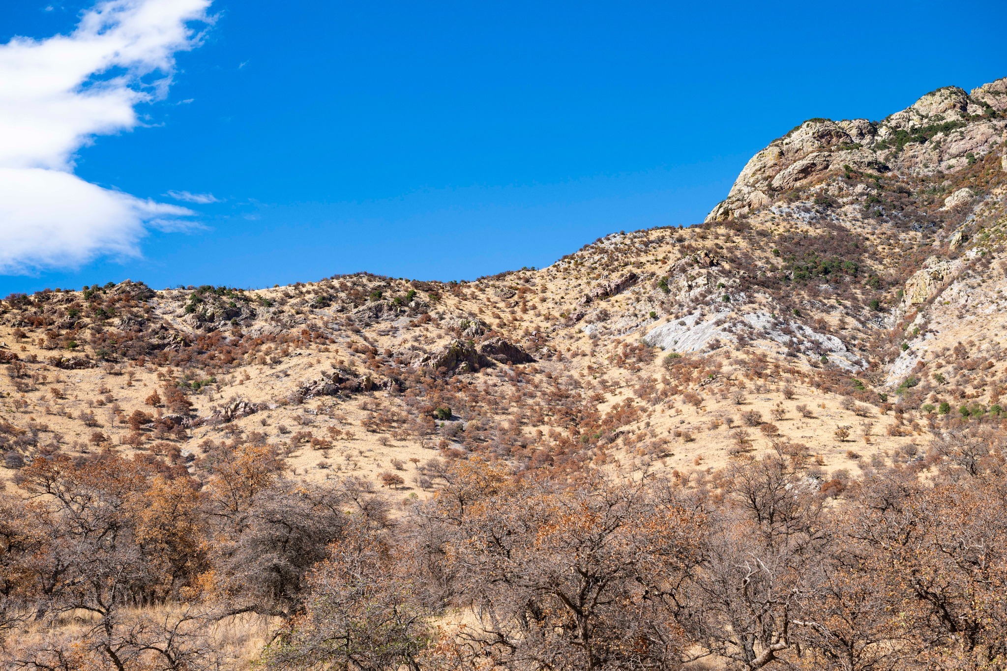 Coronado - A closer look at the unnamed peak showing its geological ...