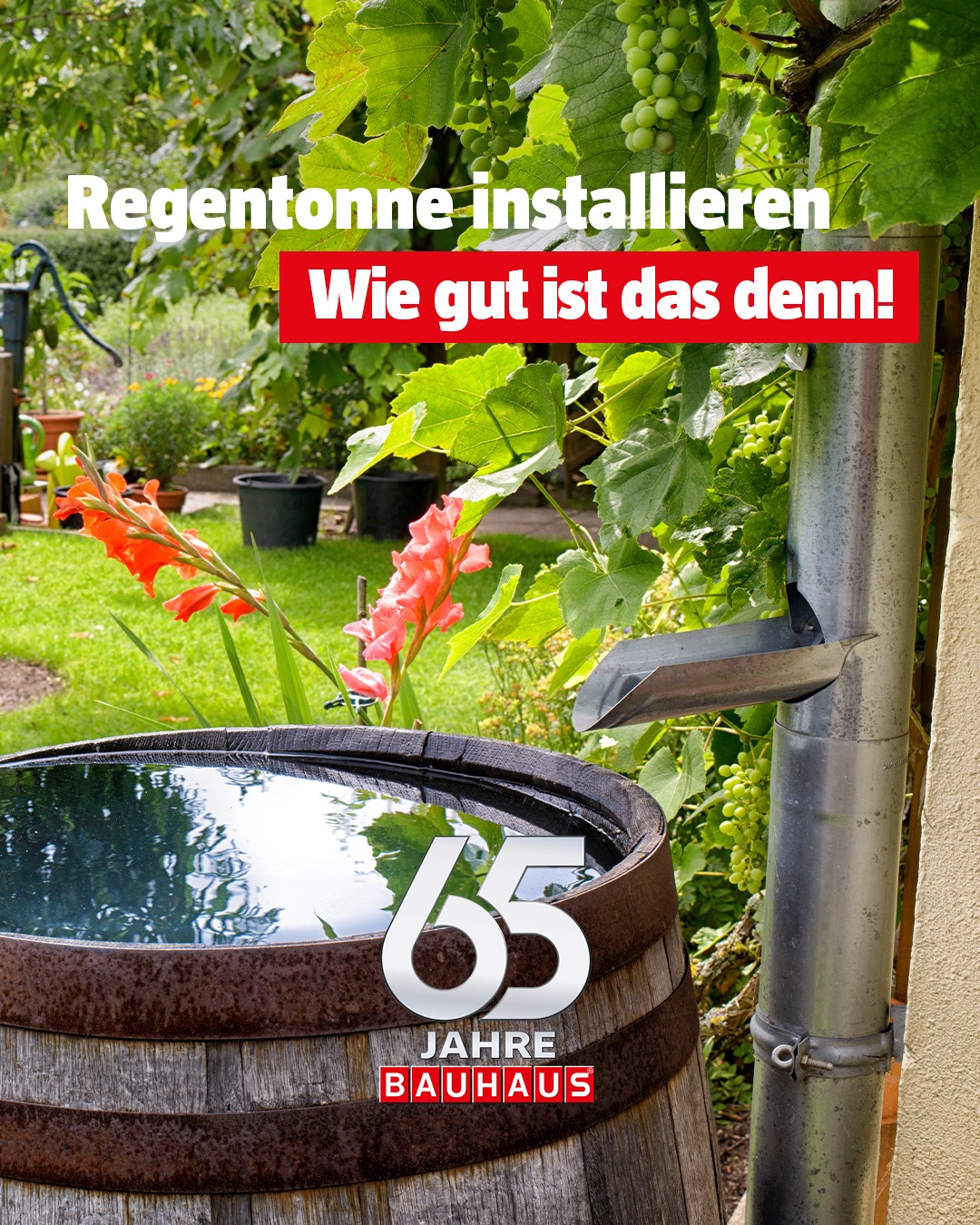 Regenwasser in einer Regentonne aufzufangen, ist effizient und ein entscheidender Schritt hin zu einem nachhaltigen Umgang mit der Ressource Wasser. 🌧️🪣 Sammle Regenwasser mit einer Regentonne, um de