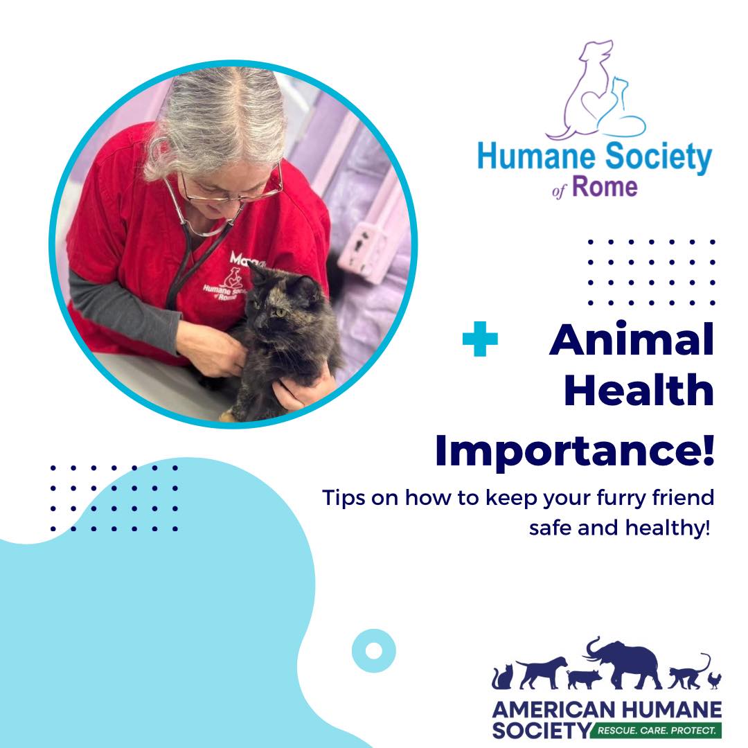 🐱 Be Kind to Animals Week! 🐶 The... - Humane Society of Rome | Facebook