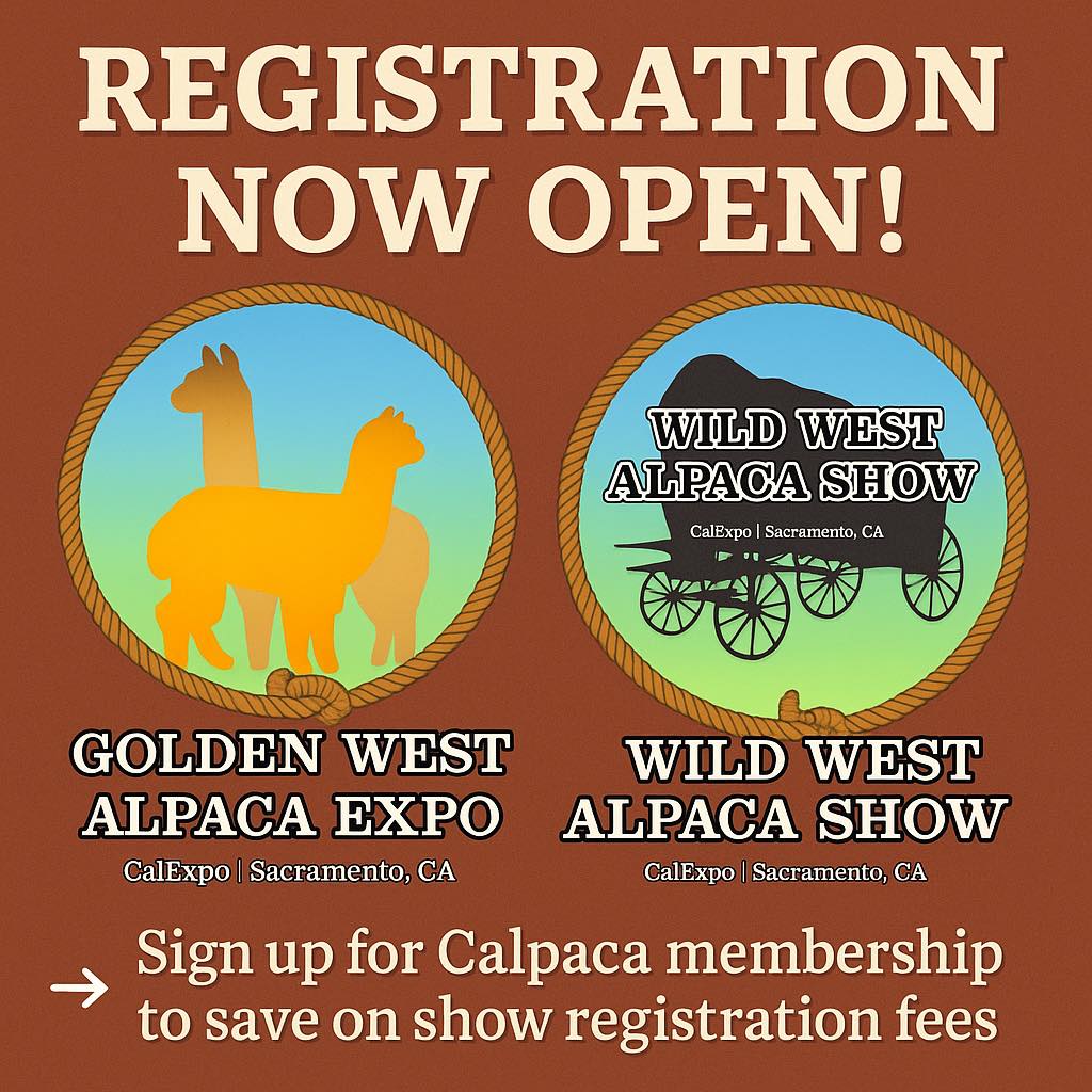 SoCalpaca - Alpaca Owners in Southern California | Facebook