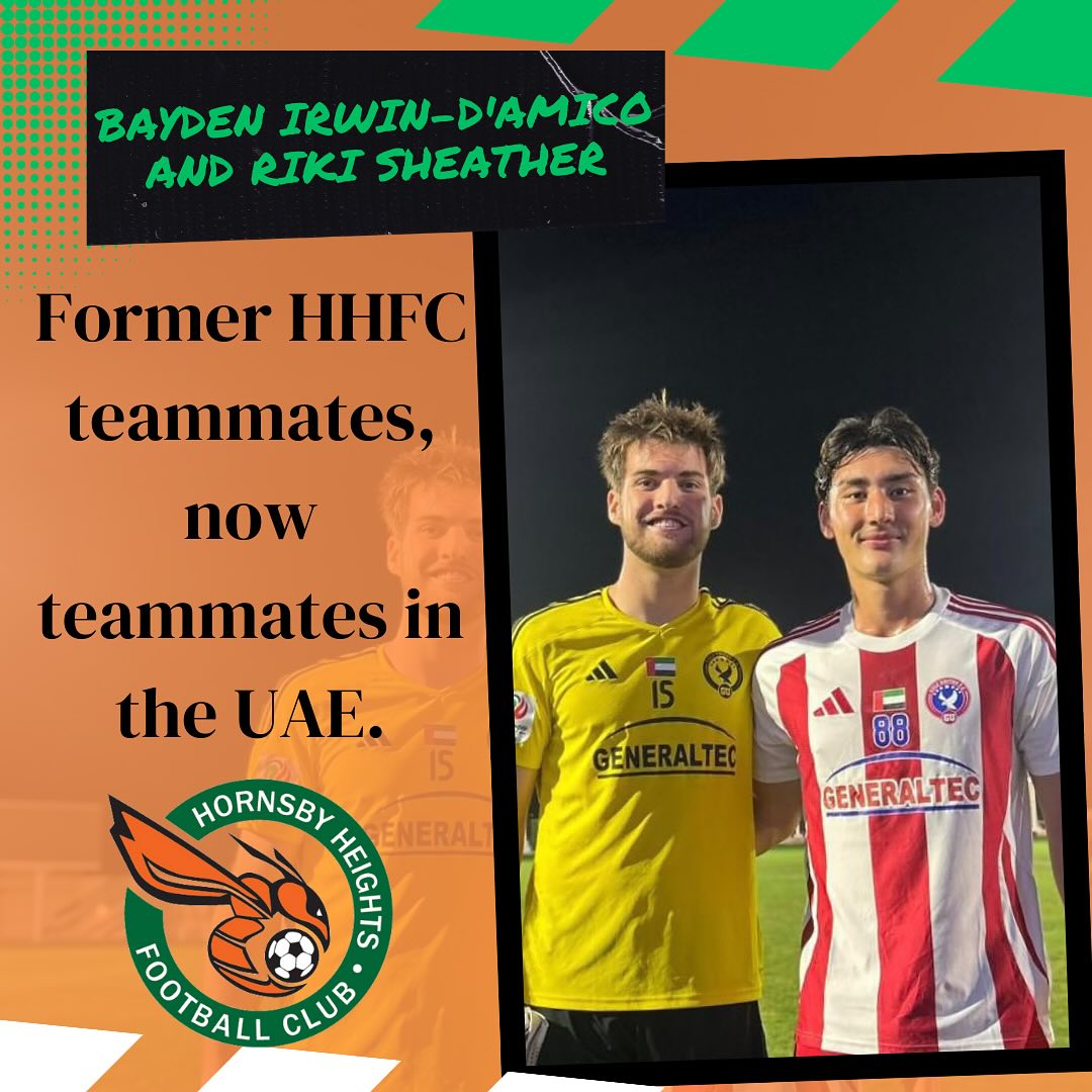 🚨 Hornets Spotlight 🚨... - Hornsby Heights Football Club | Facebook