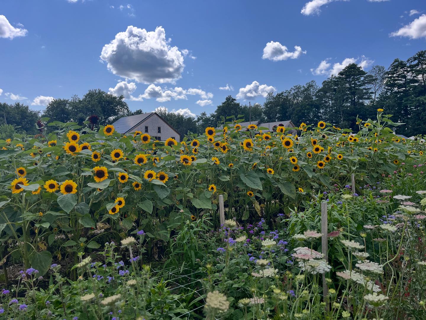 Frith Farm | Scarborough ME