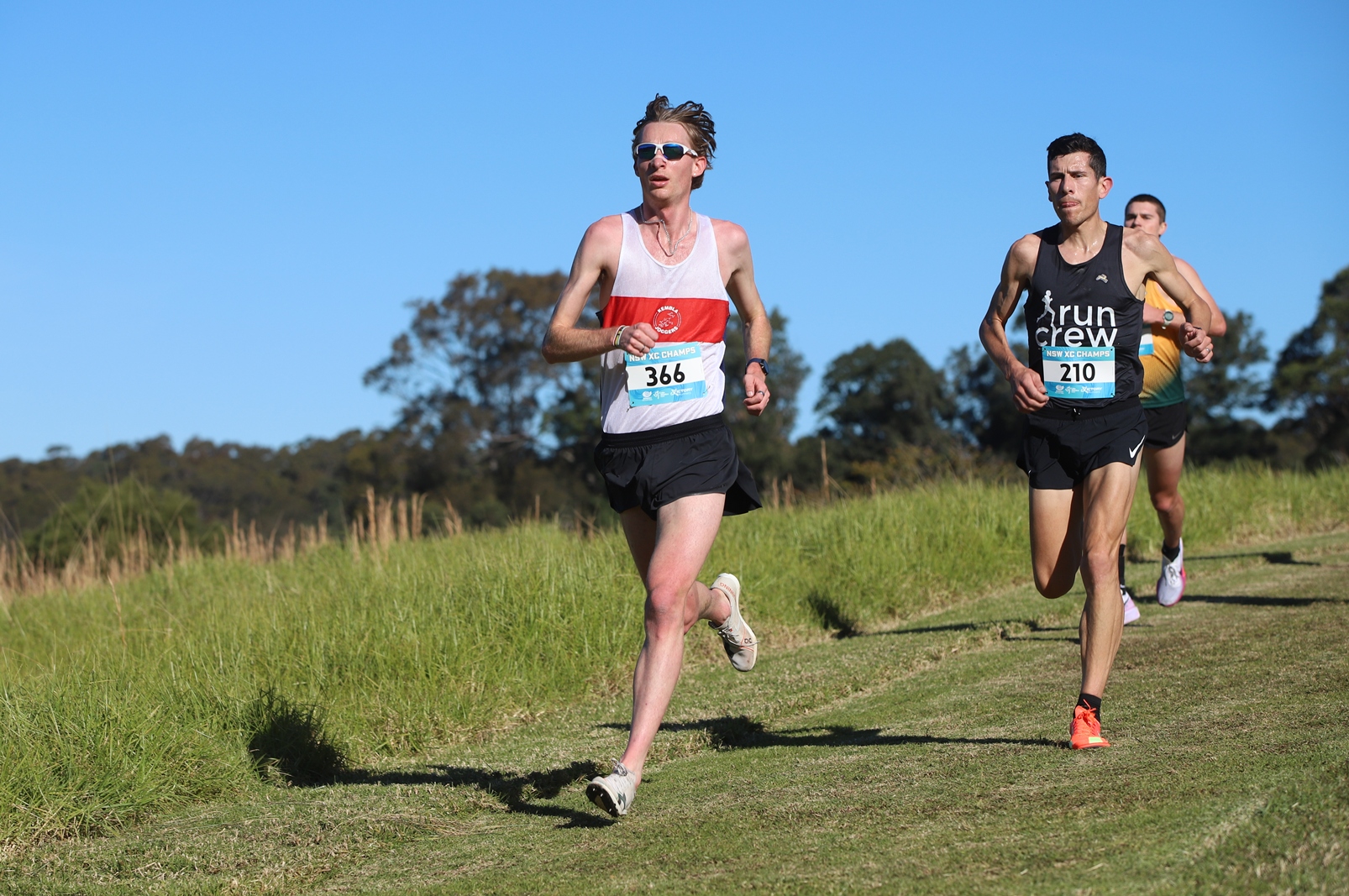 Athletics NSW - NSW RELAYS CHAMPIONSHIPS (ARE BACK!) 🏆 Saturday 20th ...