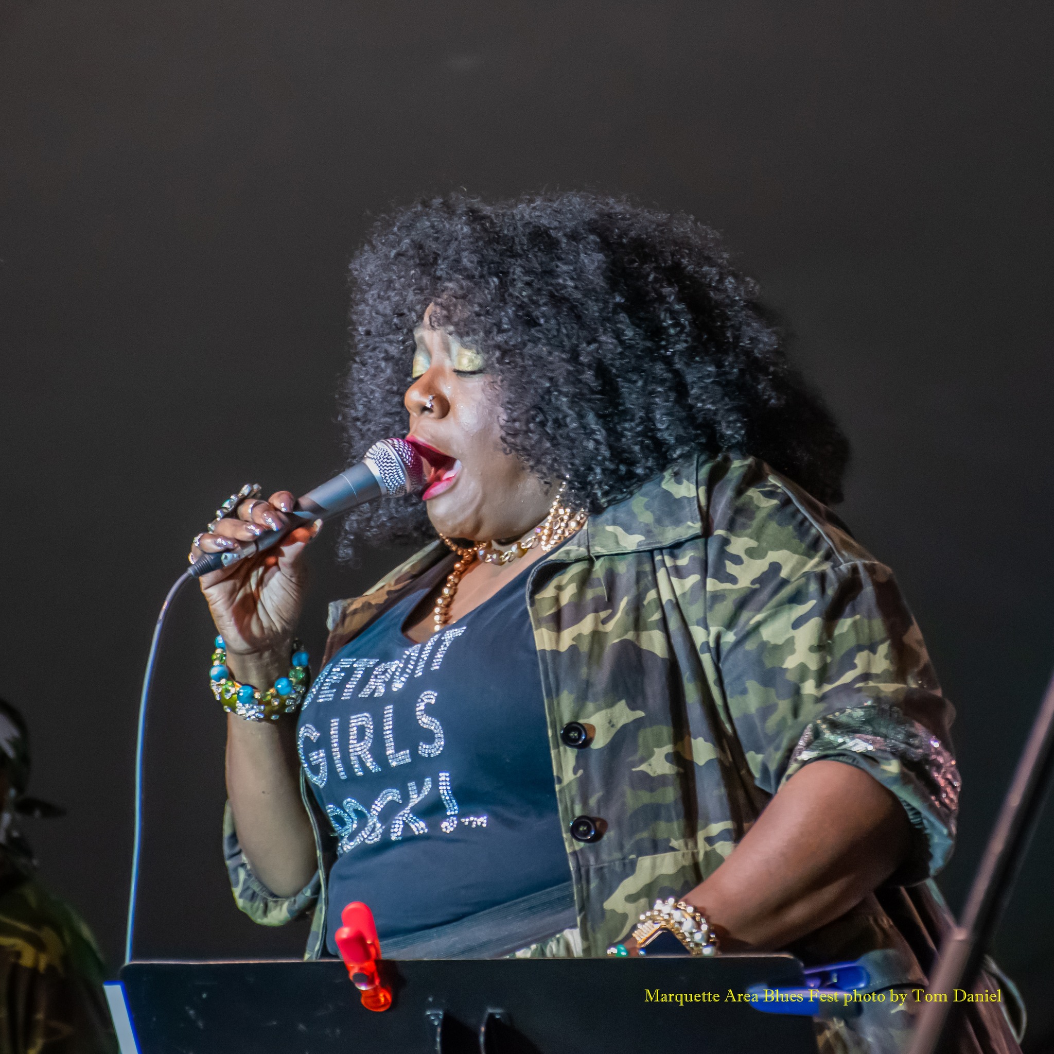 Marquette Area Blues Society | Marquette MI