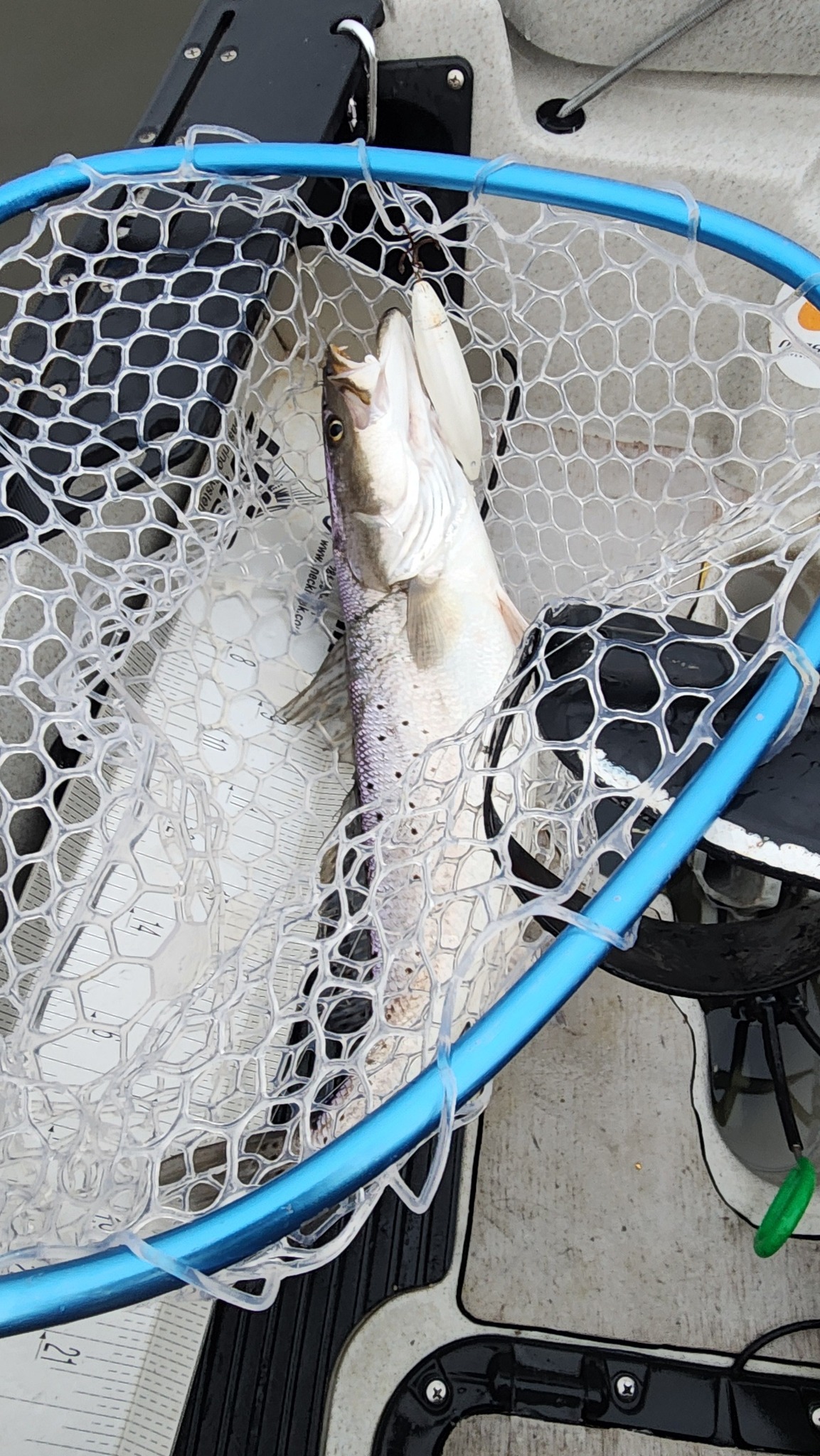 bayou fishing club net LBW Collapsible with Telescoping Handle, Folding Kayak Net for Freshwater or Saltwater, Trout Catfish Bass Rubber Landing Net : Sports & Outdoors Fall N Tide XIX 