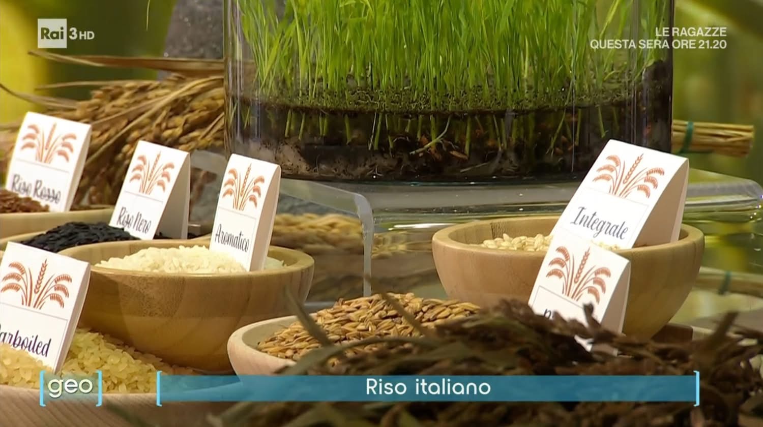 Ente Nazionale Risi - Filiera | Milan