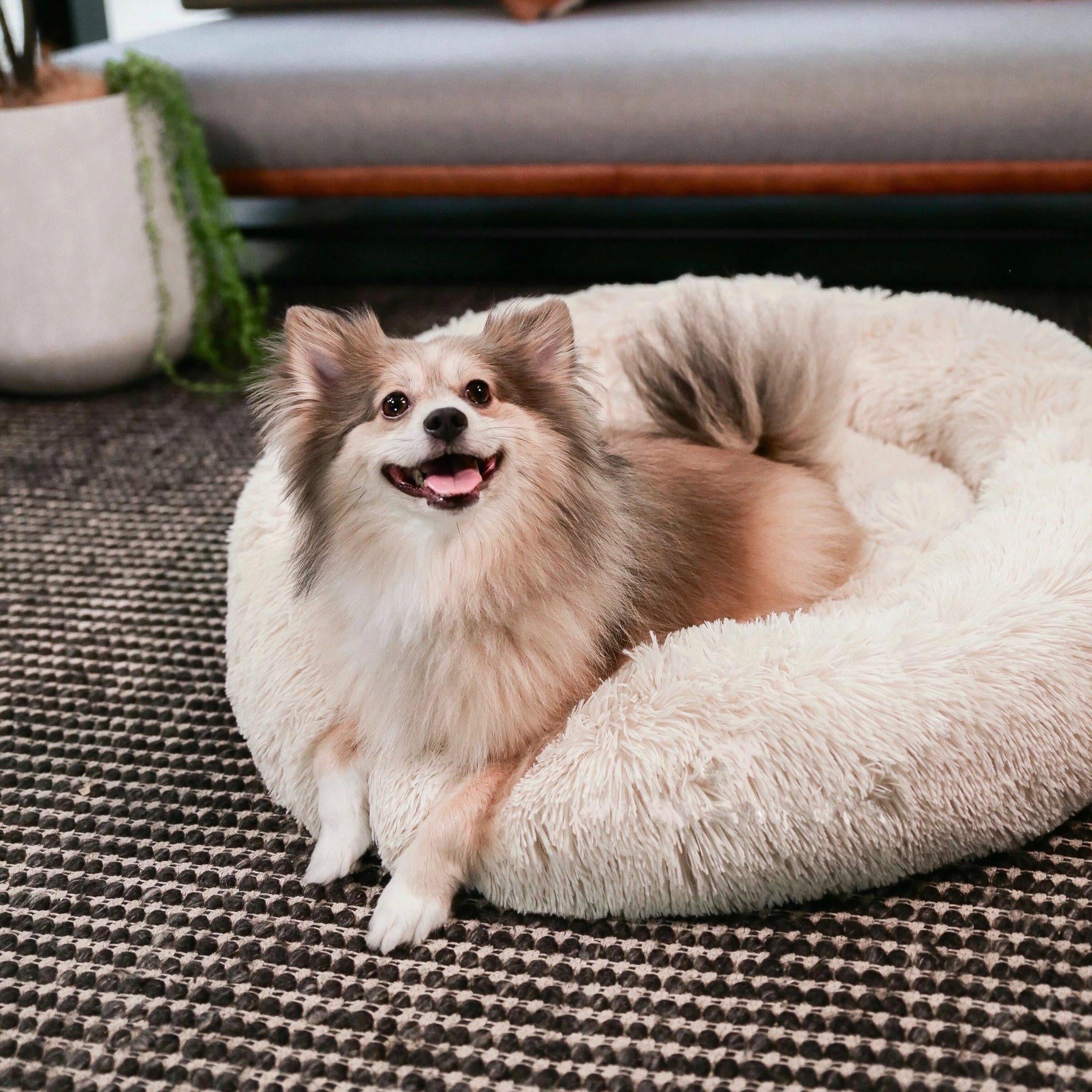 Pets Core