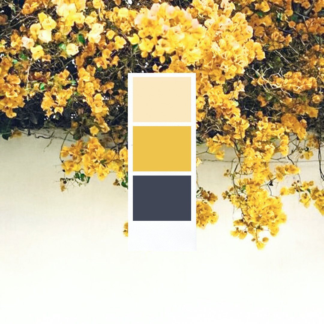 Lemons - Why is a color palette important for your branding? It is ...
