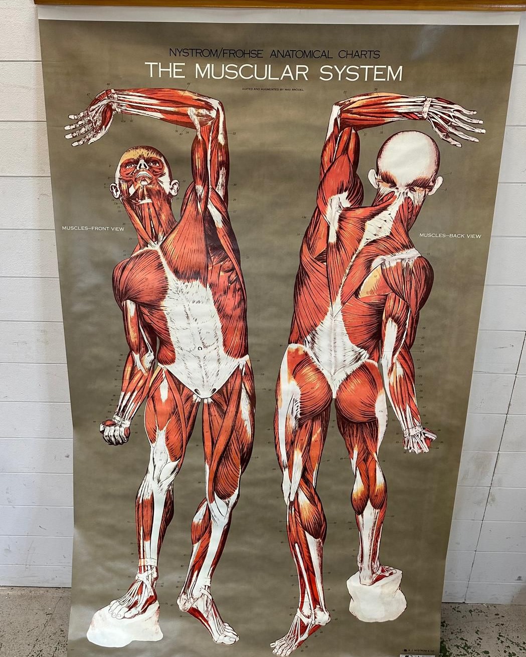Explore the fascinating world of... - Windsor Auctions | Facebook