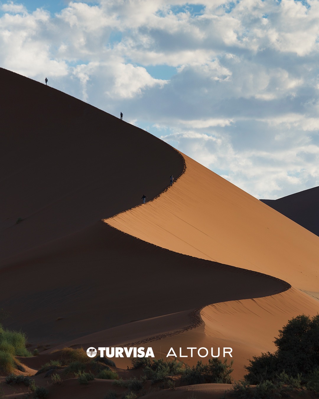 Turvisa | San José
