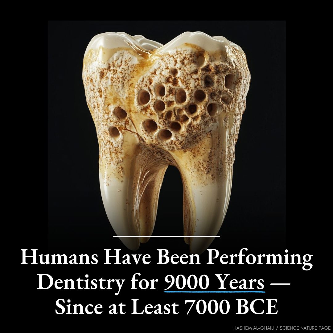 見て楽しい歯的博物館: history of dentistry in Jap Dentistry is one of the world's oldest medical professions, dating