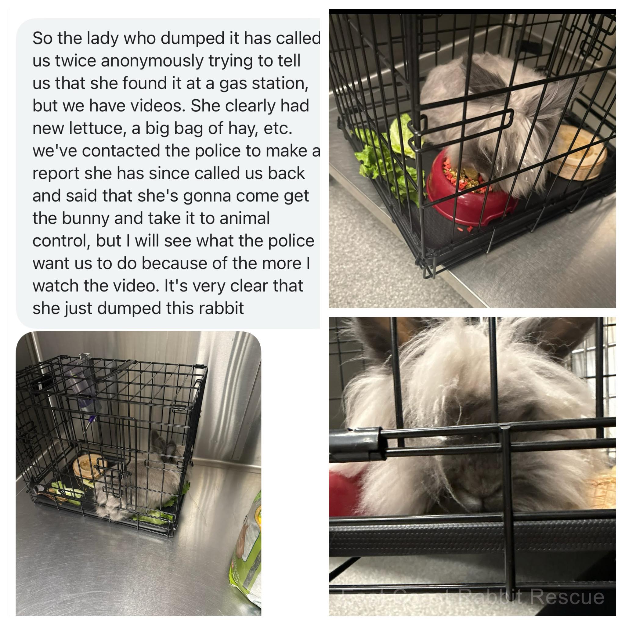 East - We received a call from a local veterinary clinic regarding to a ...