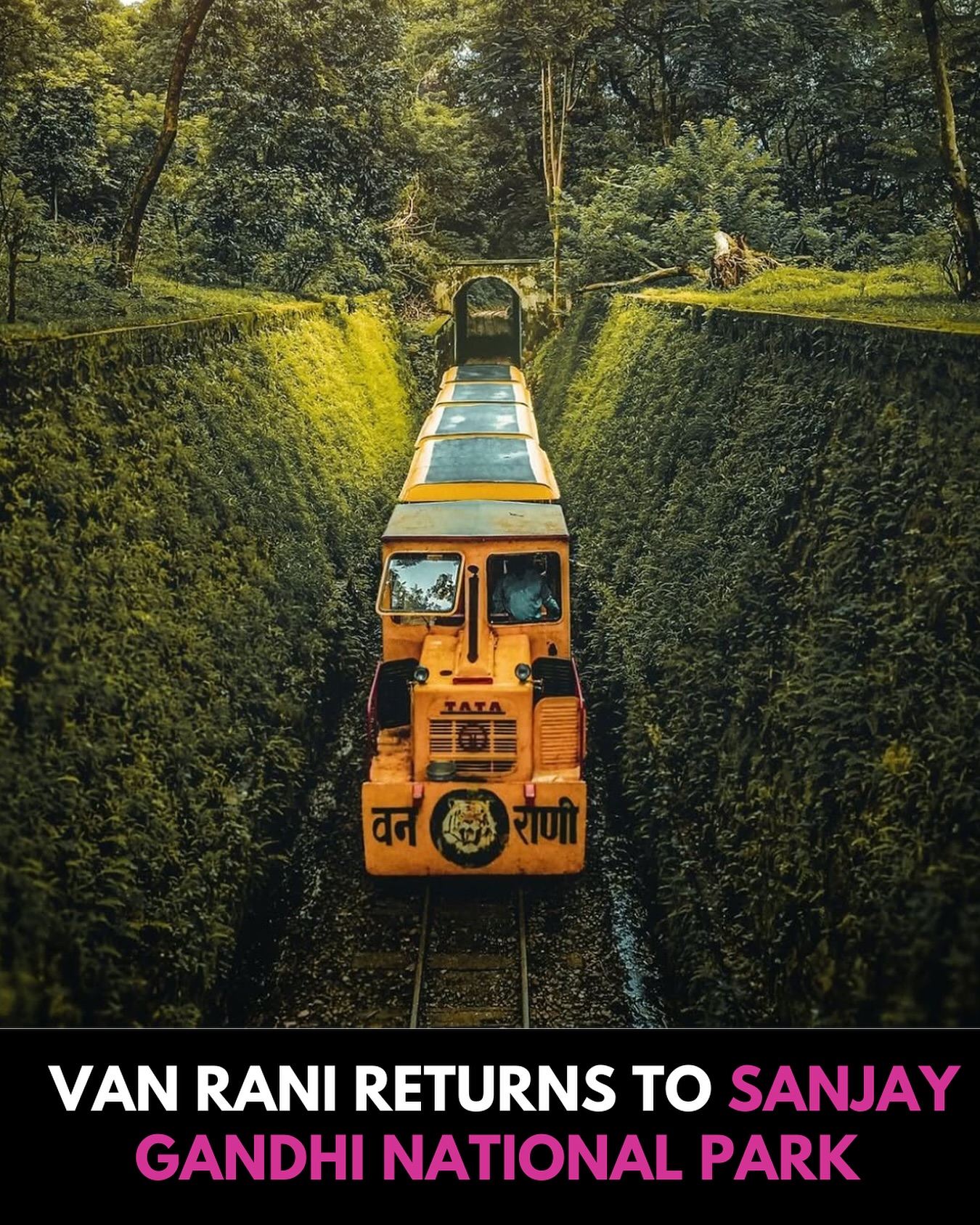Whats - After being out of service for three years, the much-loved Van ...