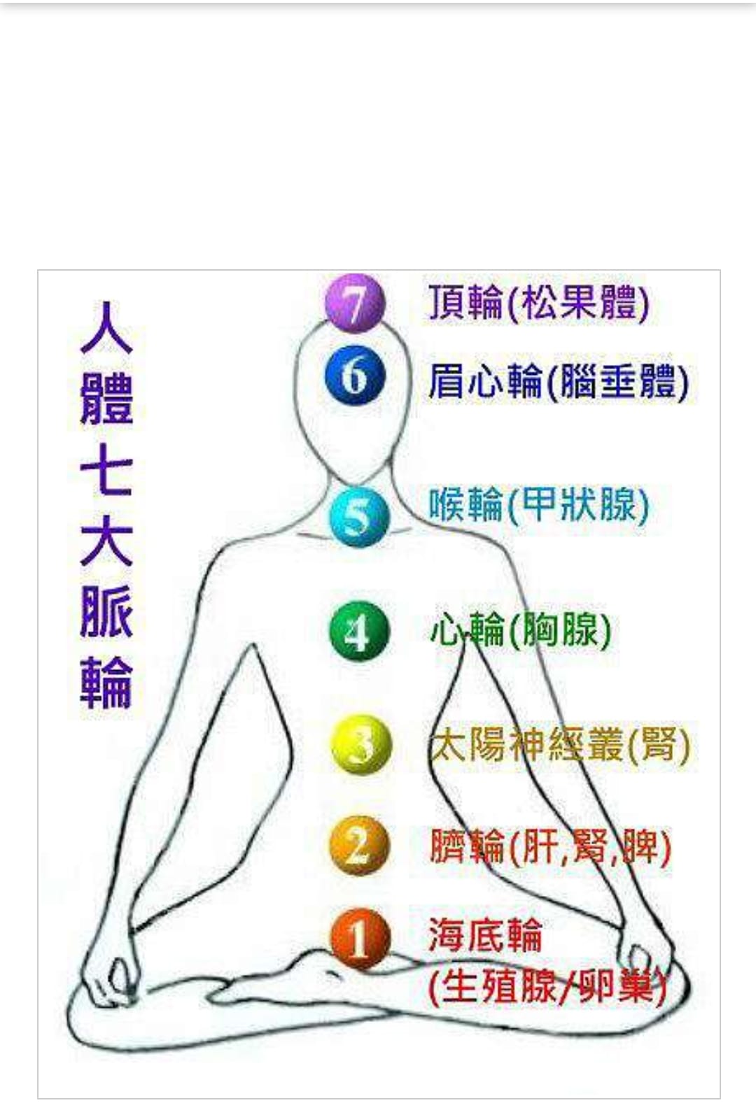 龍點晶 - 選擇好的水晶對應脈輪 人體七輪你要知道😍