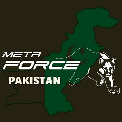 METAFORCE - POLYGON - DAI | Facebook
