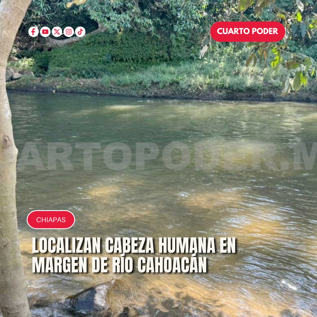 Cuarto - La cabeza de una persona fue encontrada entre las piedras en ...