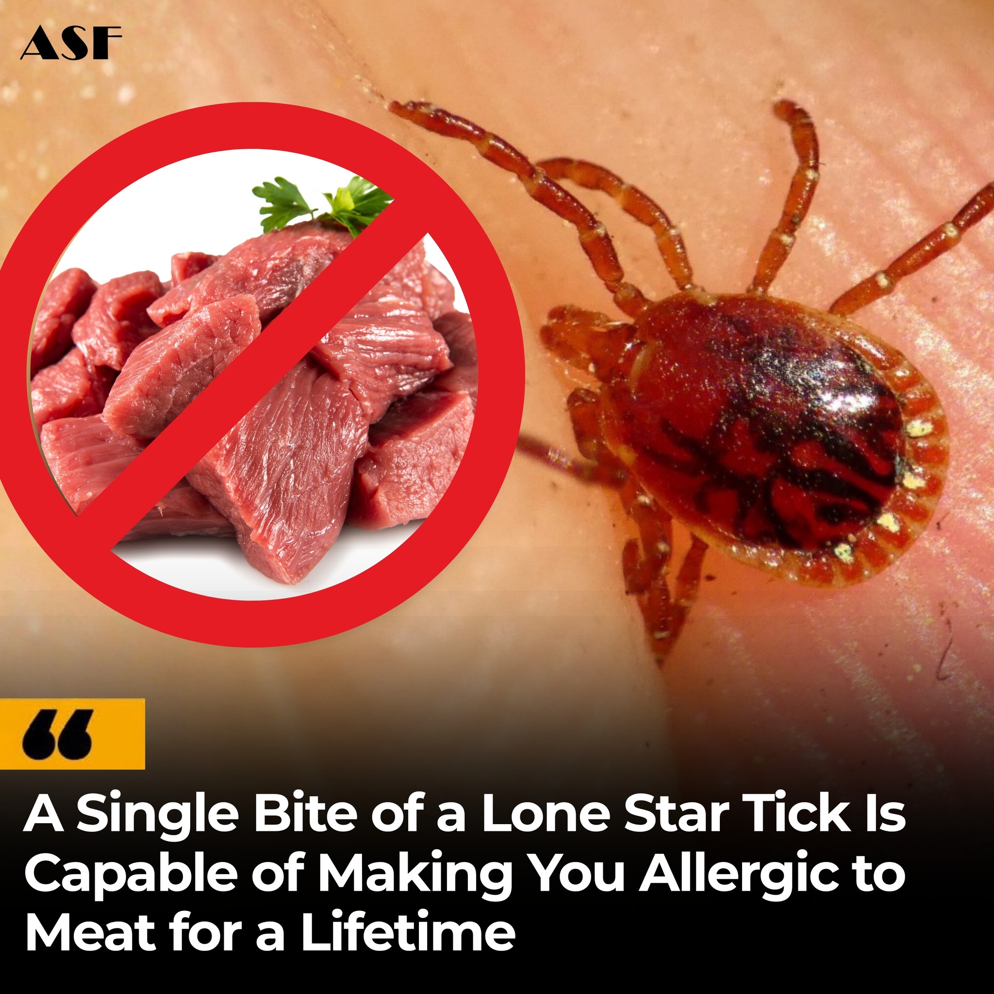 A single bite from the Lone Star... - Amazing Science Facts | Facebook