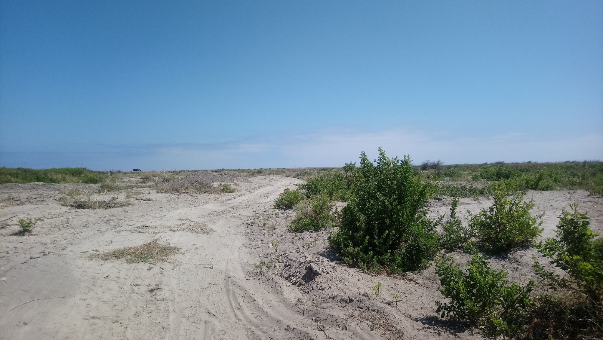 Área de conservación 
